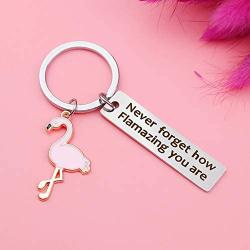 JIGAL Motivational Flamingo Keychain Never Forget How Flamazing You are Keychain Flamingo Lover Jewelry Gift for Family BFF Animal Lovers