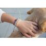 Tally Puppy String Bracelet with Branded Little Paw Print Charm Dog Jewelry for Women Bracelet for Girls Teen Jewelry Dog Lover Gifts Boys Bracelet Jewelry Men Adjustable