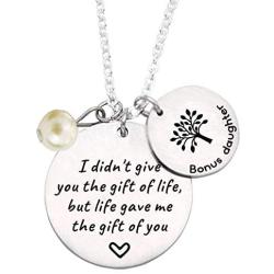 Stepdaughter Gift - I Didnt Give You the Gift of Life But Life Gave Me the Gift of You - Family Tree Pendant Necklace Step Daughter Gifts from Stepmom or Stepdad