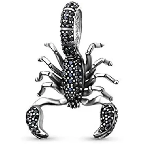 EVESCITY Black Pave Sparkling Realistic Scorpion Cancer Zodiac 925 Sterling Silver Beads For Charm Bracelets ♥ Best Jewelry Gifts for Her Holidays Women ♥ EVESCITY Black Pave Sparkling Realistic Scorpion Cancer Zodiac 925 Sterling Silver Beads For Charm Bracelets ♥ Best Jewelry Gifts for Her Holidays Women ♥