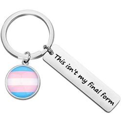 BAUNA LGBTQ Transgender Pride Key Chain Trans Flag Gift This Isn’t My Final Form Gay Pride Jewelry Gift