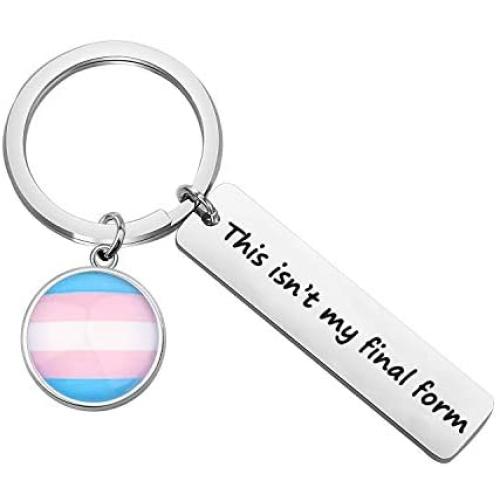 BAUNA LGBTQ Transgender Pride Key Chain Trans Flag Gift This Isn’t My Final Form Gay Pride Jewelry Gift