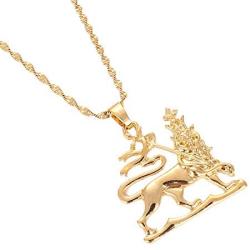 African Ethiopian Lion Pendant Necklace Lion of Judah Jewelry Charms Ethnic Gifts