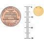 Ritastephens 14k Yellow Gold Mini Disc Pendant Adjustable Chain Necklace 16-18 Inches
