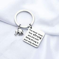 FUSTMW Elephant Gifts Keychain Elephant Lovers Gifts Elephant Jewelry How Strong You are Elephant Inspirational Gifts