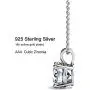 AllenCOCO White Gold Plated Sterling Silver Cubic Zirconia Round Cut Solitaire Pendant Necklace AllenCOCO White Gold Plated Sterling Silver Cubic Zirconia Round Cut Solitaire Pendant Necklace