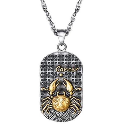 PROSTEEL Stainless Steel Zodiac Star Sign Constellation Horoscope Pendant Necklace Gift Idea Men Women