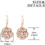 AOBOCO Sterling Silver Rose Flower Earrings, Rose Gold Plated, Clear Crystal from Austria, Hypoallergenic Dangle Drop earrings, Anniversary Birthday Jewelry Rose Flower Gifts for Women