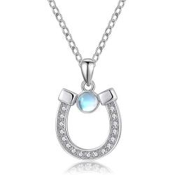 Horseshoe Necklace 925 Sterling Silver Lucky Horseshoe Pendant Necklace Horse Lover Gift for Birthday Christmas
