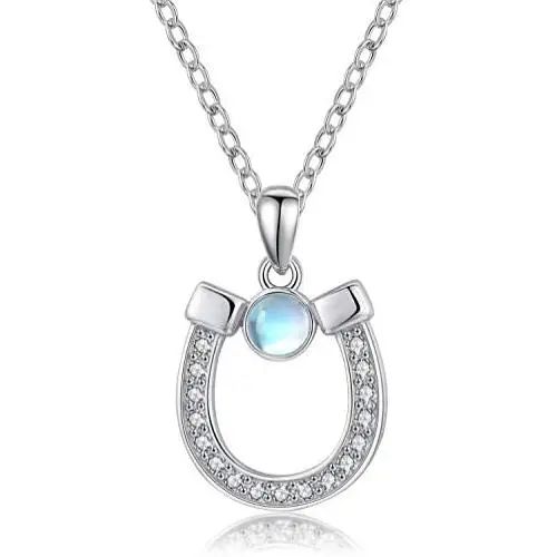 Horseshoe Necklace 925 Sterling Silver Lucky Horseshoe Pendant Necklace Horse Lover Gift for Birthday Christmas Horseshoe Necklace 925 Sterling Silver Lucky Horseshoe Pendant Necklace Horse Lover Gift for Birthday Christmas