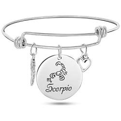 TOOPNK Zodiac Bangle Bracelet for Women Silver Constellation Bracelet Stainless Steel Expandable Wire Bracelet Birthday Gifts for Women Girls