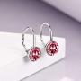 TOUPOP 12 Birthstone Earrings s925 sterling silver Leverback Drop Earrings with Crystal Jewelry Gift for Women Teen Girl Birthday Christmas