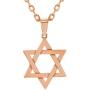 In Season Jewelry Religious Jewish Star of David Pendant Necklace for Ladies 19''