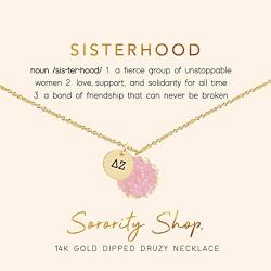 Sorority Shop Delta Zeta Sisterhood Druzy Necklace