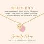 Sorority Shop Delta Zeta Sisterhood Druzy Necklace
