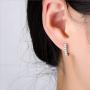 Zittop 1pair Sterling Silver S925 Earrings Inlaid Dangle Earrings Female