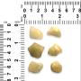 Golden Tektite Libyan Desert Glass 10-25 Carat Stone - One Piece