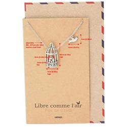 Quan Jewelry Gifts for Women Bird Cage with Key and Bird Charms Pendant Necklace, Necklaces for Women with Inspirational Greeting Card