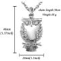 Classic Owl Cremation Urn Pendant Keepsake Necklace & Fill Kit Ashes Stainless Steel