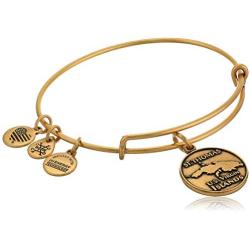 Alex And Ani Replenishment 19 Womens St. Thomas Expandable Wire Bangle, Rafaela Gold