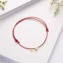 Ailiessy Love Heart Constellation Bracelet for Women Handmade Braided Rope Round Disc Coin Zodiac Bracelet Charm Fashion Red String Friendship Bracelet Jewelry
