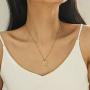 Moronly Zodiac Necklaces for Women 12 Constellation Necklace Stainless Steel Horoscope Astrology Chain Necklace 14K Gold Plated Jewelry Hypoallergenic…