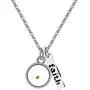 Stainless Steel Faith Real Mustard Seed Pendant Necklace Charm Jewelry for Christian Inspirational Gift Y559 Stainless Steel Faith Real Mustard Seed Pendant Necklace Charm Jewelry for Christian Inspirational Gift Y559