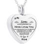 misyou Cremation Ashes Jewelry Infinity Urn Pendants Ashes Holder Memorial Keepsake Urn Necklace Cremation Jewelry for Mom