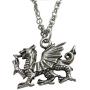 Kiola Designs Silver Toned Textured Welsh Dragon Pendant Necklace