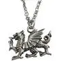 Kiola Designs Silver Toned Textured Welsh Dragon Pendant Necklace Kiola Designs Silver Toned Textured Welsh Dragon Pendant Necklace