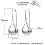 925 Sterling Silver Ear Needle With Teardrop & Waterdrop Earrings