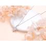 925 sterling Silver Cubic Zirconia Star Pendant Necklace for Women Girls