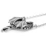 Controse Womens Silver-Toned Stainless Steel Steamin Hot Love Dragon Heart Necklace with Pendant