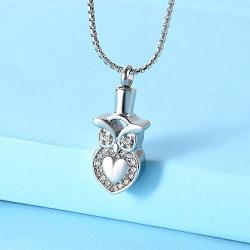 zeqingjw Crystal Owl Cremation Jewelry Pendant for Ashes for Animal Memorial Lockets Keepsake Pet Urns Necklace Jewelry for Ashes