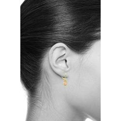 Wellingsale Ladies 14k Two Tone Rose and Yellow Gold Our Lady of Guadalupe Drop Earrings