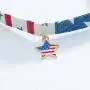 Olbye Patriotic Necklace Choker USA Charm Necklace Jewelry for Women and Girls Simple Minimalist Necklace