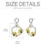 Bee Earrings Sunflower 925 Sterling Silver Beehive Bee Dangle Drop Hooks Cubic Zirconia Earrings Jewelry Gifts for Women Daughter Birthday Bee Earrings Sunflower 925 Sterling Silver Beehive Bee Dangle Drop Hooks Cubic Zirconia Earrings Jewelry Gifts for Women Daughter Birthday