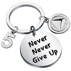 HOLLP Sobriety Keychain Sober 1/2/5 Years Anniversary Keychain Sobriety Jewelry Never Never Give Up Keychain Recovery Symbol Keychain