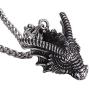 HAQUIL Dragon Necklace, Stainless Steel Dragon Head Pendant with Wheat Chain, Medieval Fire Dragon Jewelry Gift for Men and Women