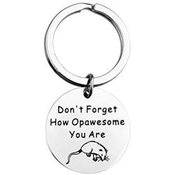 MAOFAED Funny Opossum Lover Gift Don’t Forget How Opasome You are Inspirational Gift Opossum Jewelry Gift for Best Friend