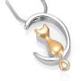 Minicremation Pet Cremation Jewelry Urn Necklace for Ashes Memorial Pendant Ashes Holder Keepsakes Jewelry for Ashes for Cat