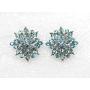 Faship Gorgeous Crystal Rhinestone Floral Clip On Earrings