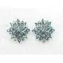 Faship Gorgeous Crystal Rhinestone Floral Clip On Earrings
