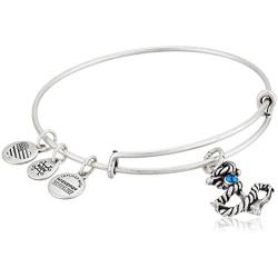 Alex and Ani Anchor III EN, Bangle Bracelet