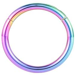 FUNLMO G23 Titanium Cartilage Earring Hoop 20G 18G 16G 14G Conch Helix Daith Piercing Jewelry Septum Jewelry Nose Ring Hoop Lip Septum Rings Tragus Rook Earrings CZ Hinged Segment Hoop Rings