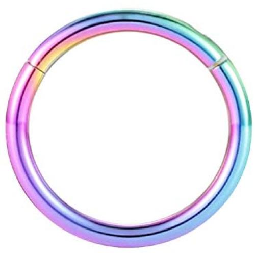 FUNLMO G23 Titanium Cartilage Earring Hoop 20G 18G 16G 14G Conch Helix Daith Piercing Jewelry Septum Jewelry Nose Ring Hoop Lip Septum Rings Tragus Rook Earrings CZ Hinged Segment Hoop Rings