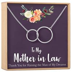 Mother-In-Law Gift Necklace, To My Mother-In-Law, Jewelry, Funny, 2 Interlocking Circles (silver-plated-brass, NA)