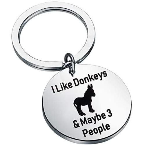 BEKECH Funny Donkey Gift Donkey Keychain I Like Donkeys & Maybe 3 People Donkey Theme Keychain Gift for Donkey Lovers Animal Lovers Horse Gift for Men Women