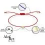 Red String of Fate Protection Bracelets With Sparkling Evil Eye