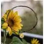 MAOFAED Sunflower Gift Sunflower Necklace Sunflower Lover Gift Sunflower Choker Gift for Wife Girlfriend Valentine Gift Wedding Gift Women Jewelry MAOFAED Sunflower Gift Sunflower Necklace Sunflower Lover Gift Sunflower Choker Gift for Wife Girlfriend Valentine Gift Wedding Gift Women Jewelry